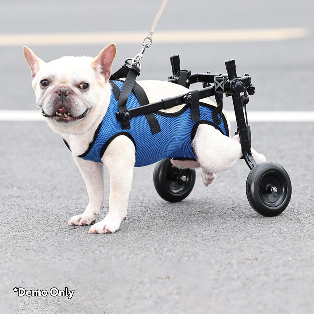 HECULA XS/S/M Size Adjustable Dog Wheelchair Rehabilitation